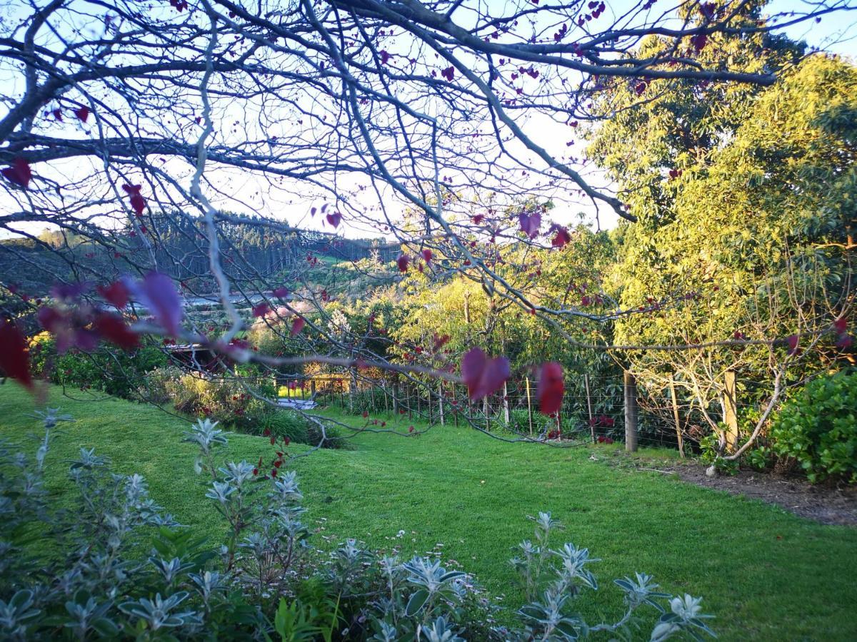 River Side Lodge Whakamarama Exterior foto